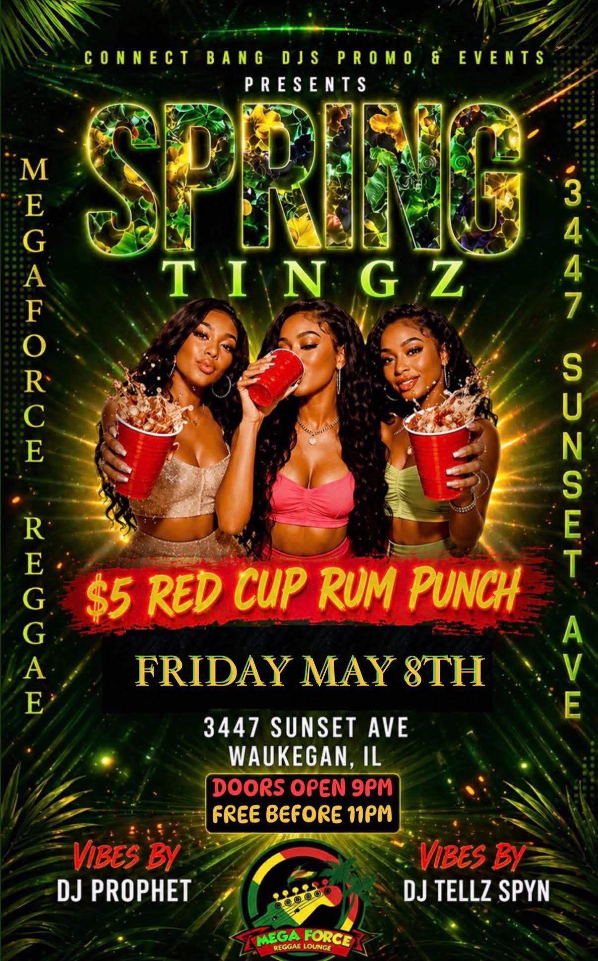 Spring Tingz flyer